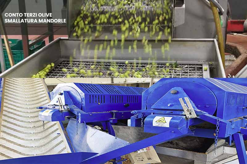 conto terzi olive smallatura mandorle